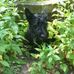 Barbara Eckley - Facebook