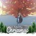 Barbara Eddins - Facebook