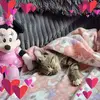 Barbara Eddy - @barbara.eddy3 - TikTok