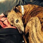 Barbara Eddy - @snippy2003 - Instagram
