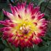 Barb Edgell - Facebook