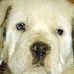 Barbara Edell - Facebook