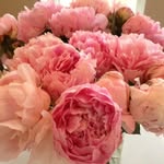 Barbara Eder - @babsi_eder - Instagram