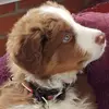 barbaraedmonds5 - @barbaraedmonds5 - TikTok
