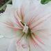 Barbara Edstrom - Facebook