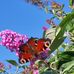 Barbara Egger - Facebook