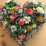 Barbara Egger - @egger7697 - Instagram