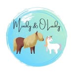 Barbara Egger  - Reitunterricht & Mentaltraining - @mindy_und_olady - Instagram