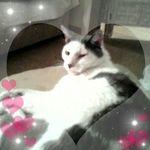 Barbara Eggert - @barbara.eggert.58 - Instagram