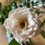 Barbara Ehlmann - Facebook