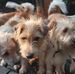 Barbara Ehrhardt - Facebook
