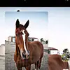 Barbara Ehrhardt - @barbaraehrhardt930 - TikTok