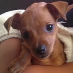 Barbara Eichelberger - Facebook