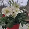 Barbara Teichner - @barbarateichner - TikTok