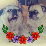Barbara Eilers - @barbaraeilers5 - Instagram