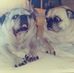 Barbara Eilers - Facebook