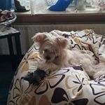 Barbara Eilers - @eilersbarbara - Instagram