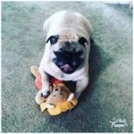 Barbara Eilers - @barbara.eilers.58 - Instagram