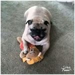 Barbara Eilers - @eilers.16 - Instagram