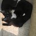 Barbara Einsiedl - Facebook