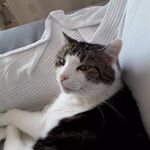 Barbara Eisele - @barbara.eisele.71 - Instagram