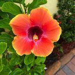 Barbara Eisenbrandt - @barbaraeisenbrandt - Instagram
