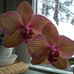 Barbara Sanders Eisen - Facebook