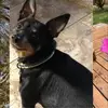 barbaraheneisen - @barbaraheneisen - TikTok