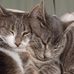 Barbara Eisenhower - Facebook