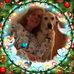 Barbara Eisenstein - Facebook