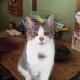 Barbara Eisler - Facebook