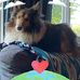 Barbara Eklund - Facebook