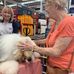 Barbara Ekstrom - Facebook
