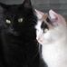 Barbara Brisee Eldredge - Facebook