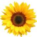 Barbara Eldredge Dolan - Facebook
