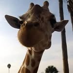 Barbara Ellard - @barbara.ellard - Instagram