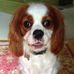 Barbara Ellington Snead - Facebook