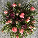 Barbara Elsener - @barbara.elsener - Instagram
