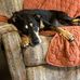 Barbara McElyea - Facebook