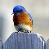 Barbara Mcelyea  bobbie - @barbara.mcelyea.b - TikTok