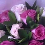 Barbara Emanuel - Facebook