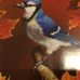 Barb Embleton - Facebook