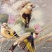 Barbara Embleton - Facebook