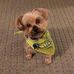 Barbara Hollister Embree - Facebook