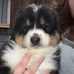 Barbara Emmick - Facebook