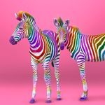 Barbara England - @_your_life_in_colour_ - Instagram