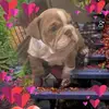 Barbara England - @barbara.england20 - TikTok