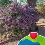 Barbara Vallo England - @barbaraengland548 - Instagram