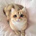Barbara Enriquez - Facebook