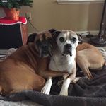 Barbara Eppler - @barbara.eppler.50 - Instagram